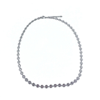 Muntjes ketting zilver