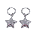 Star oorbellen zilver