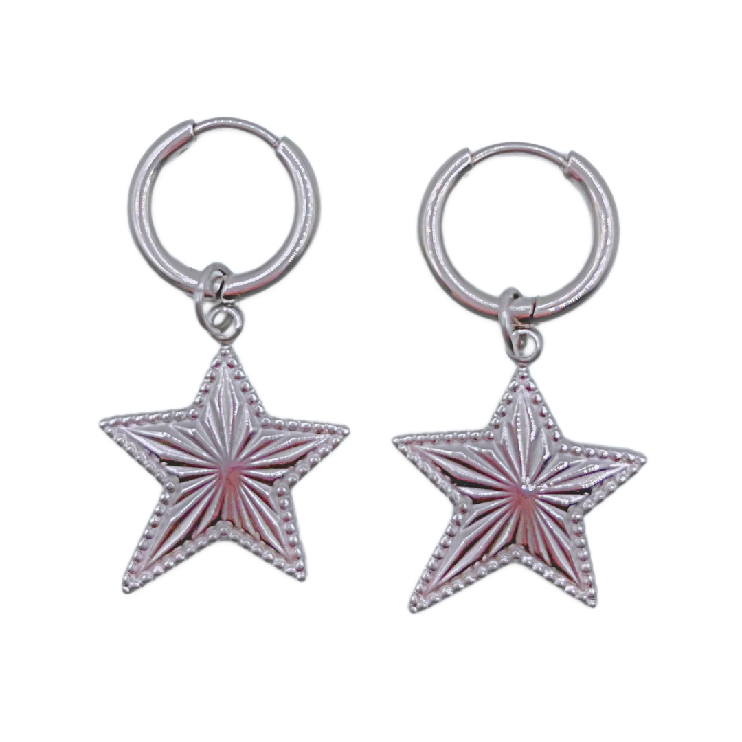 Shine star oorbellen zilver