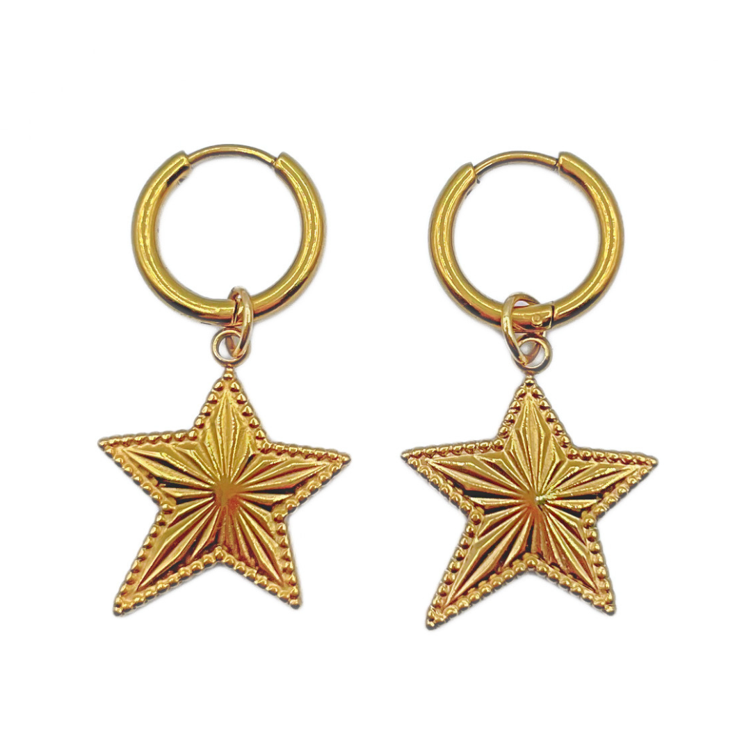 Shine star oorbellen goud